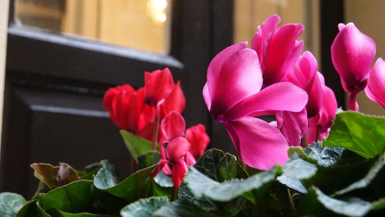 House Vintage Bed & Breakfast Catania Exterior foto